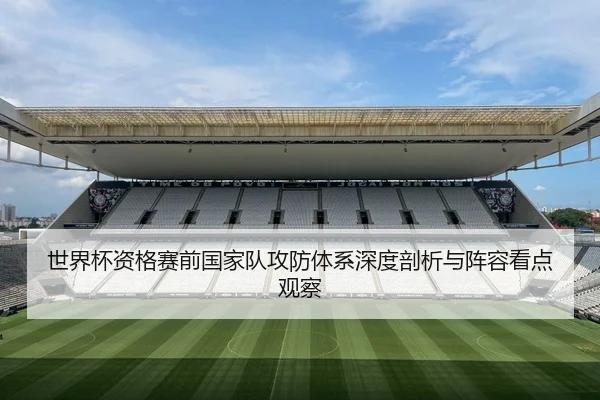 shi-jie-bei-zi-ge-sai-qian-guo-jia-dui-gong-fang-ti-xi-shen-du-pou-xi-yu-zhen-rong-kan-dian-guan-cha-2-955.jpg