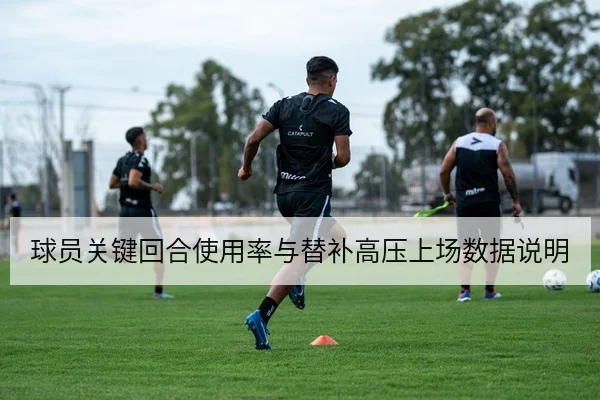 球员关键回合使用率与替补高压上场数据说明