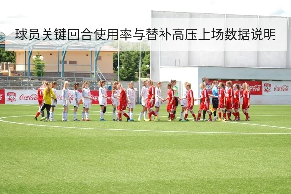 球员关键回合使用率与替补高压上场数据说明